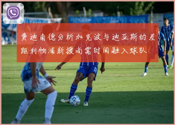 费迪南德分析加克波与迪亚斯的差距利物浦新援尚需时间融入球队