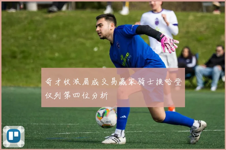 奇才收浓眉成交易赢家骑士换哈登仅列第四位分析
