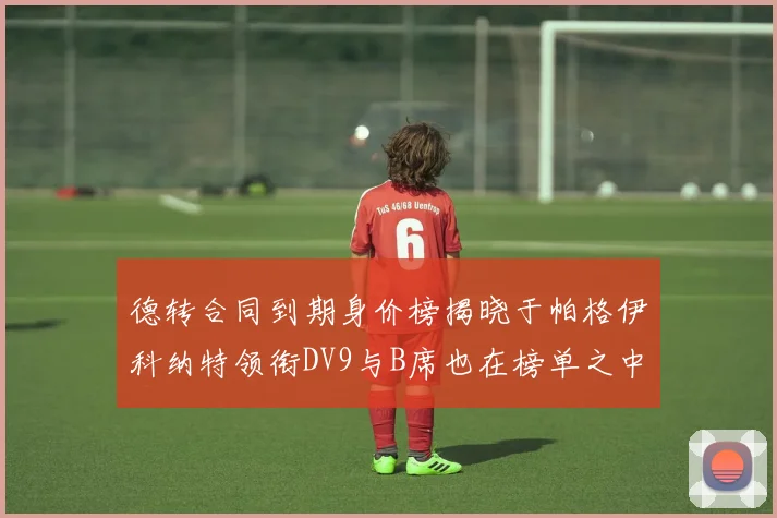 德转合同到期身价榜揭晓于帕格伊科纳特领衔DV9与B席也在榜单之中