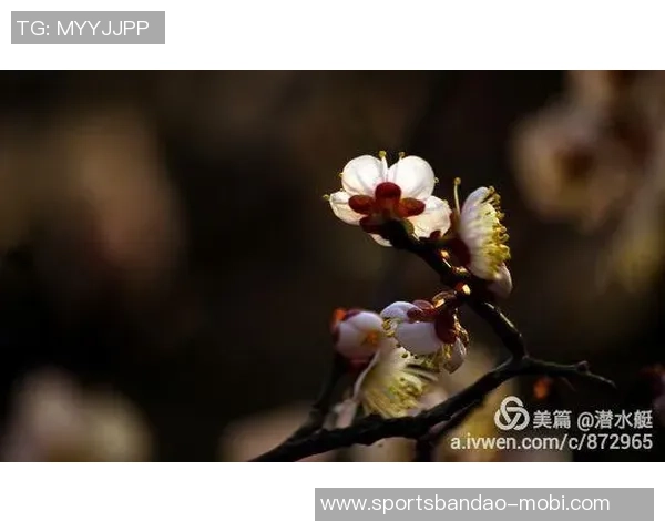 克莱深情命名小船冬梅展现爱的执着与温暖